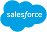 Salesforce Agent
